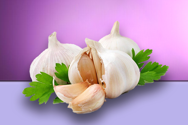 Garlic