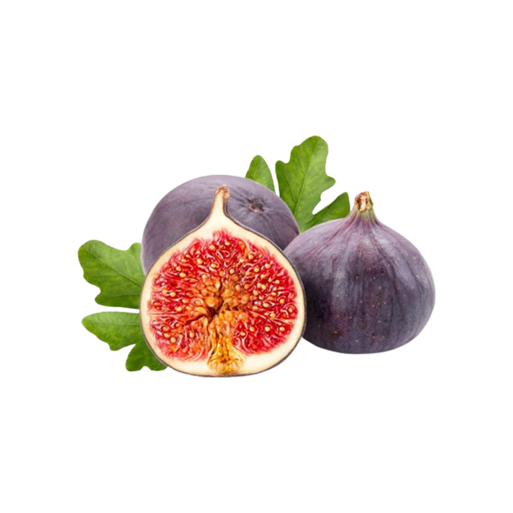 Fig