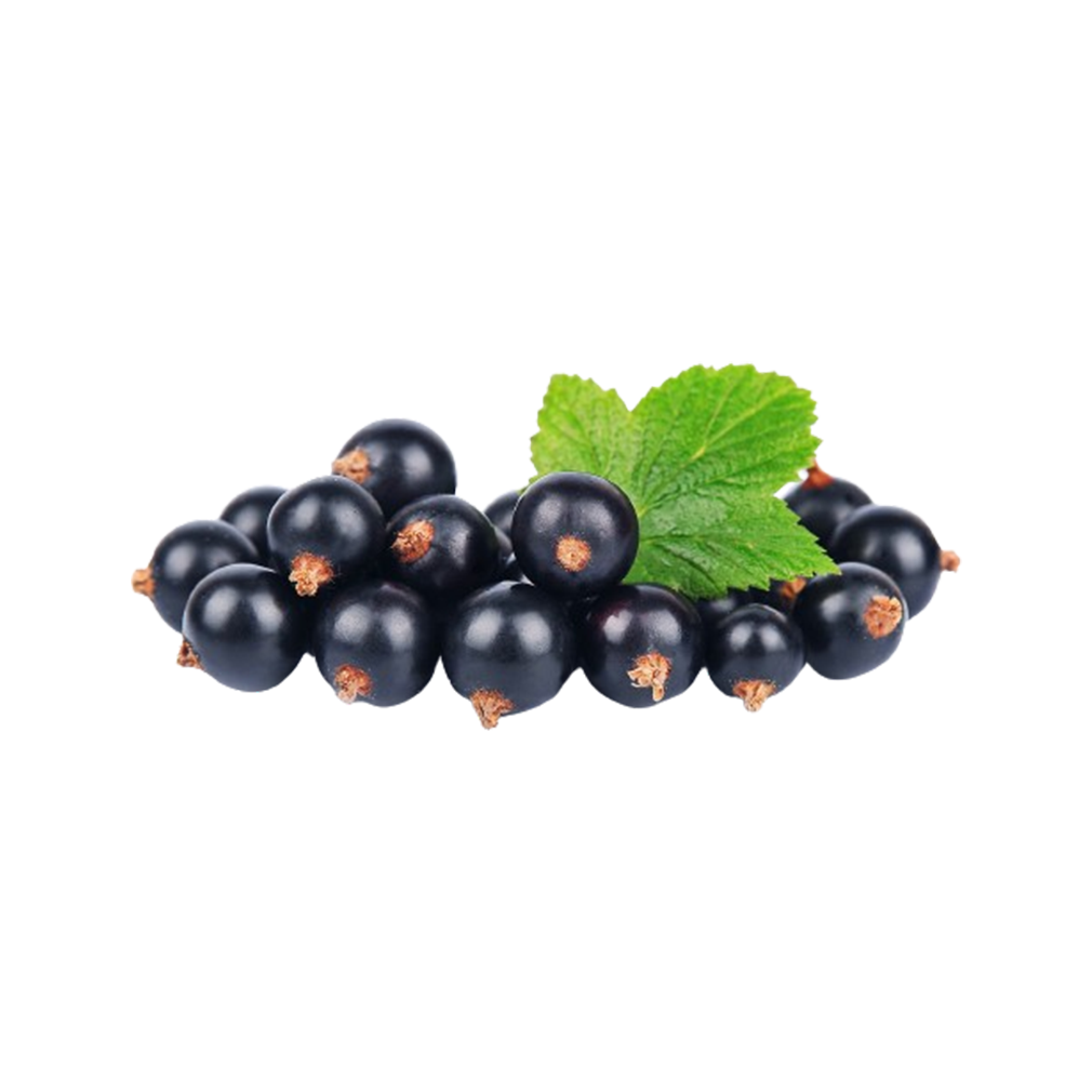 Black Currant