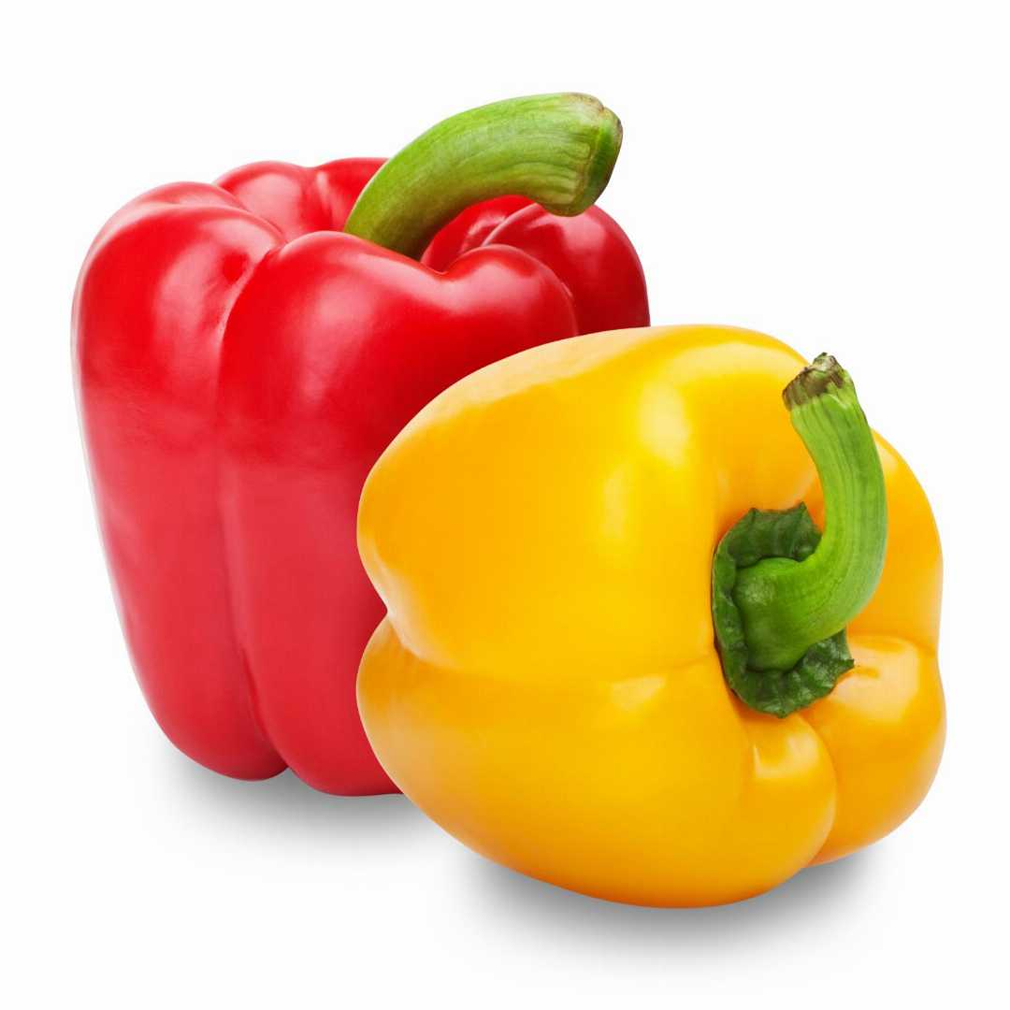 Capsicum /Bell pepper