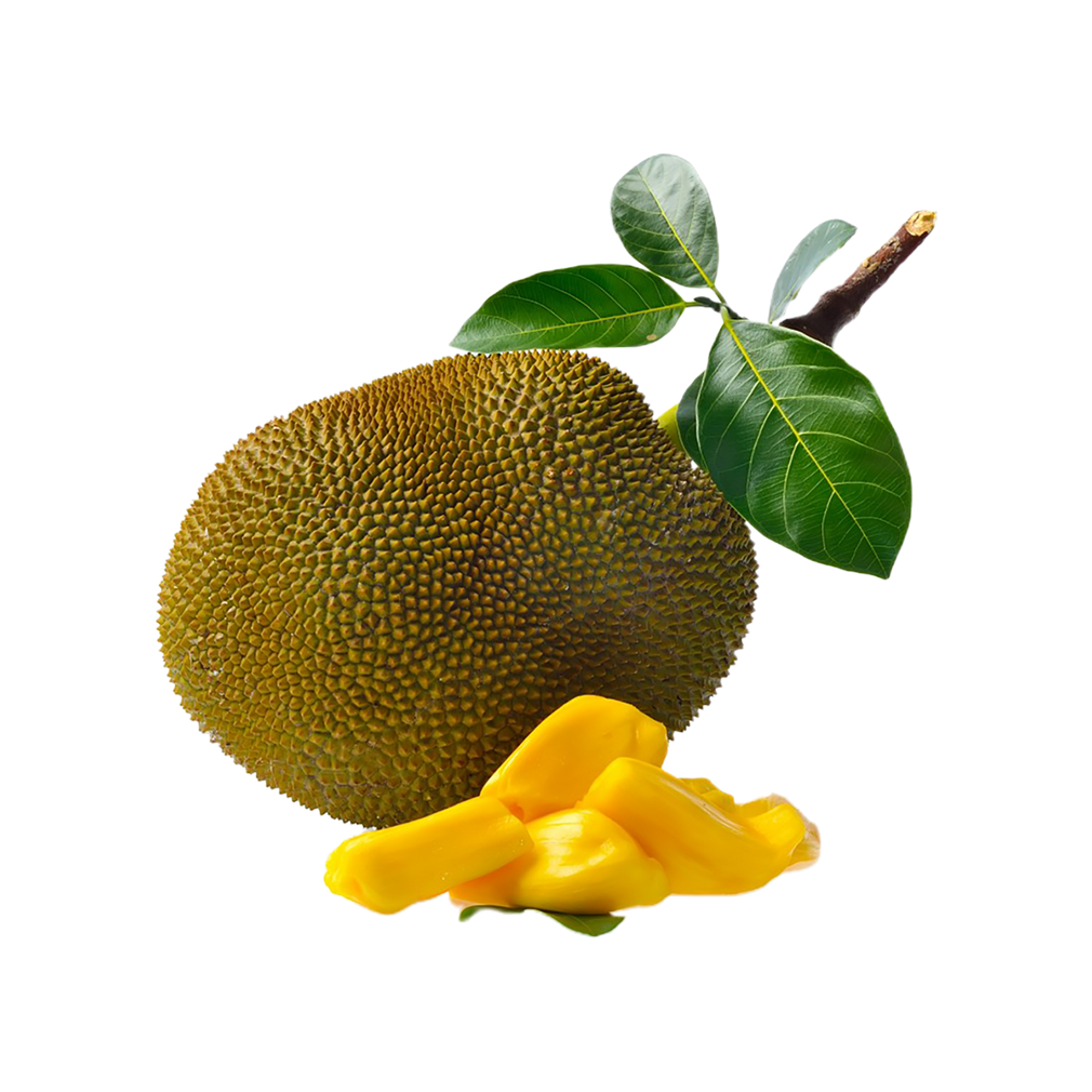 Jackfruit