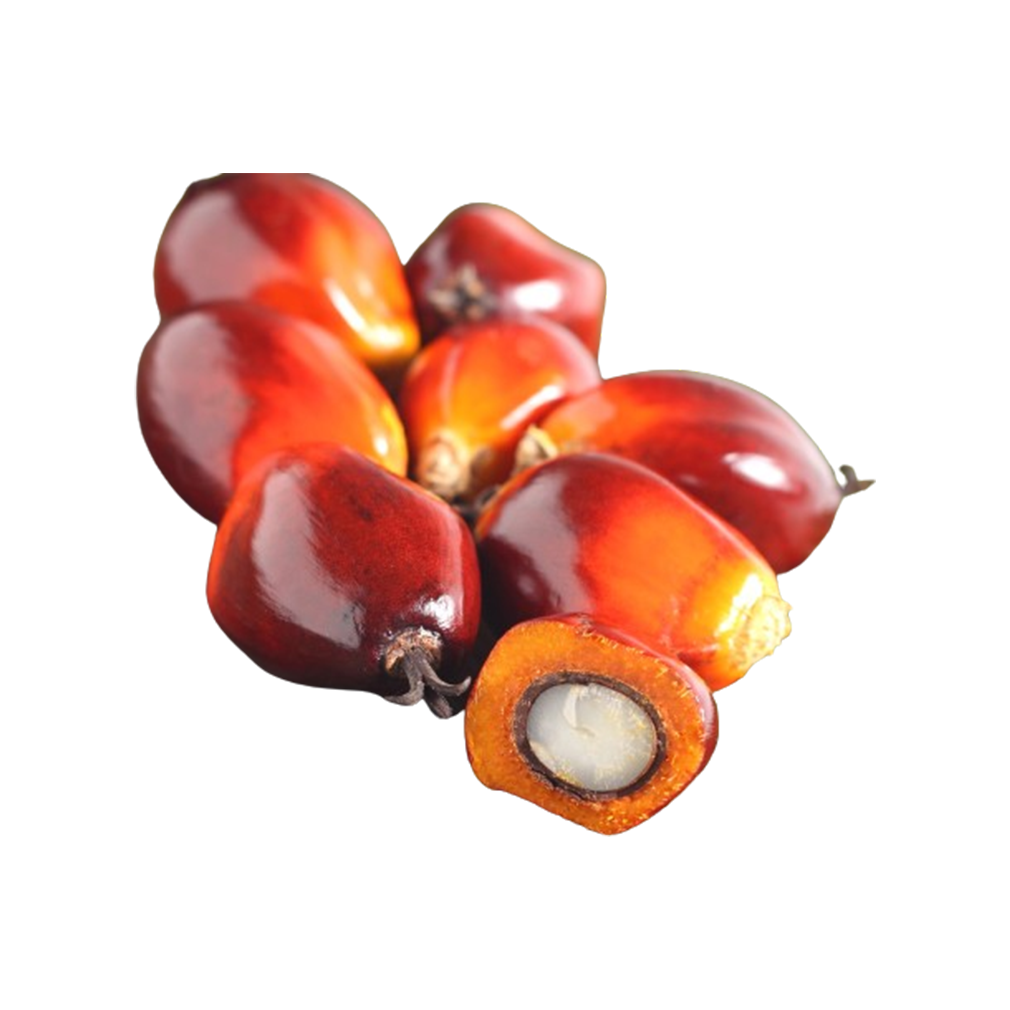 Palm Fruit