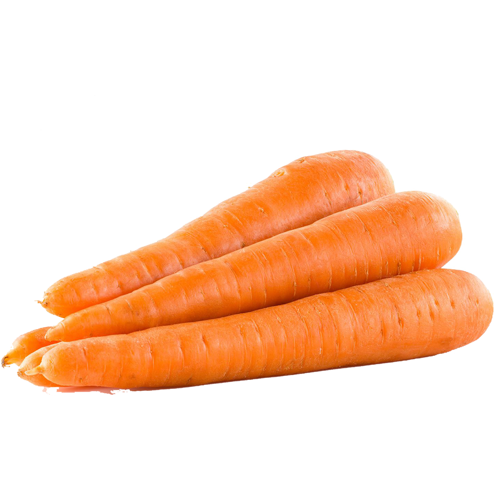 Carrot