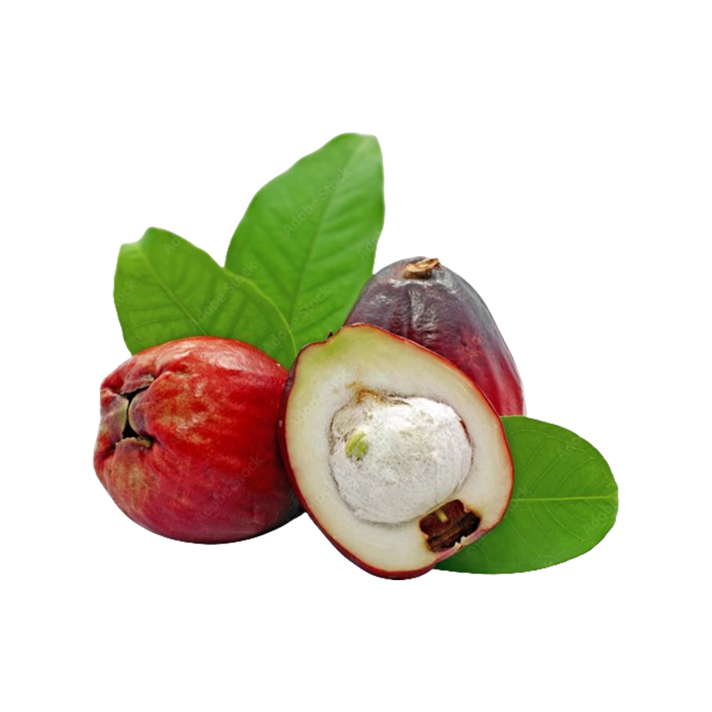 Malay Apple