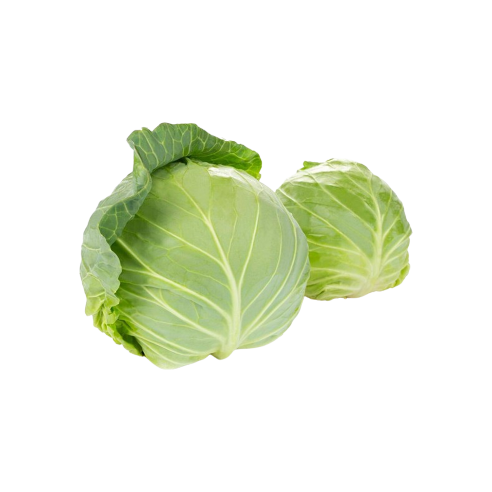 Cabbage